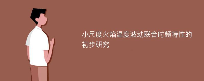 小尺度火焰温度波动联合时频特性的初步研究