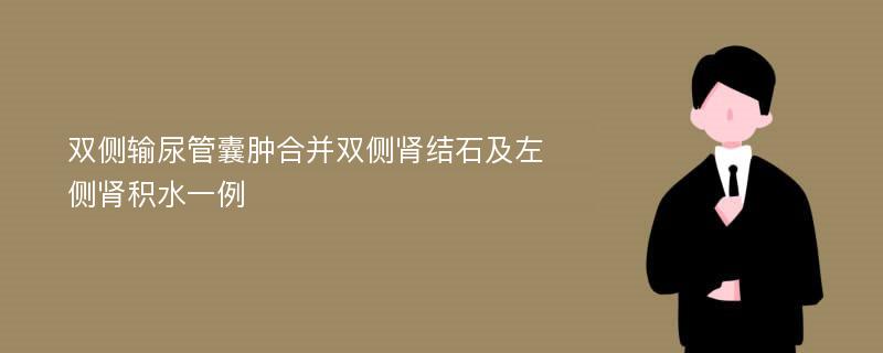 双侧输尿管囊肿合并双侧肾结石及左侧肾积水一例