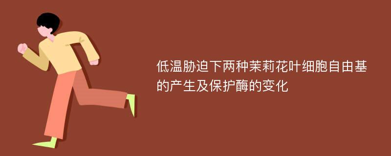 低温胁迫下两种茉莉花叶细胞自由基的产生及保护酶的变化