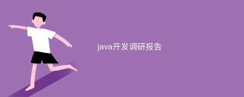 java开发调研报告