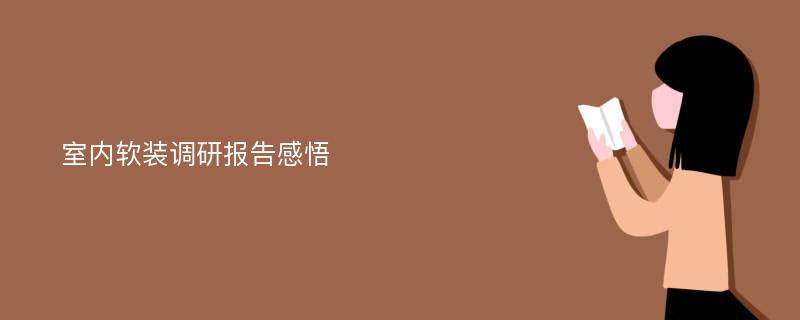 室内软装调研报告感悟