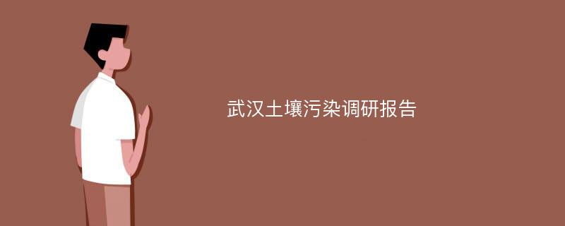 武汉土壤污染调研报告