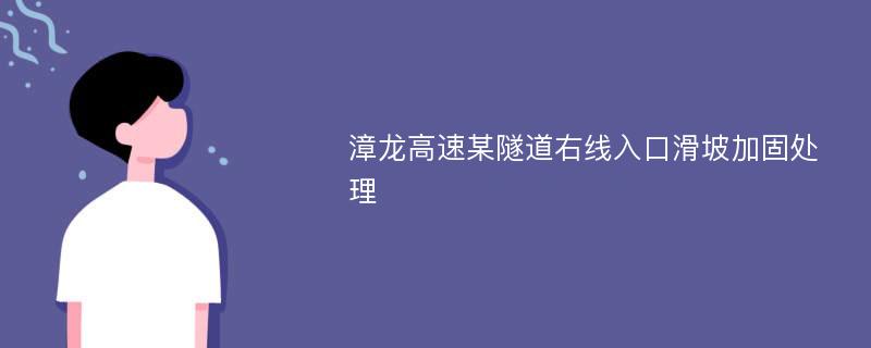 漳龙高速某隧道右线入口滑坡加固处理