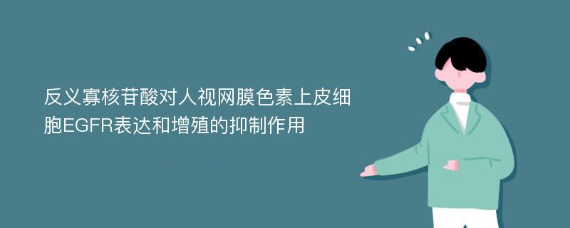 反义寡核苷酸对人视网膜色素上皮细胞EGFR表达和增殖的抑制作用