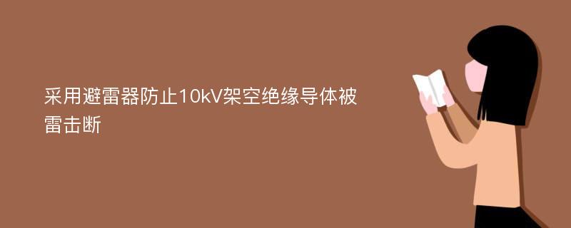 采用避雷器防止10kV架空绝缘导体被雷击断